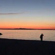 はるひと