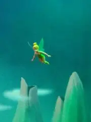 しまこ