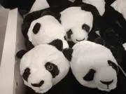 さわやかさっちゃんの画像