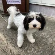 たけっちゃん