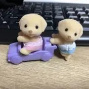 かりん