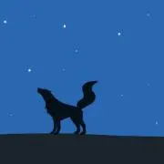 ユズの画像