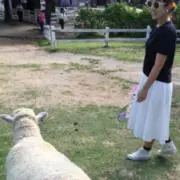 ariの画像