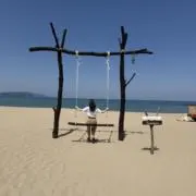 ひの画像