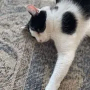 smileの画像