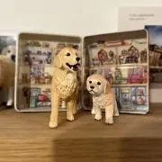 HRKの画像