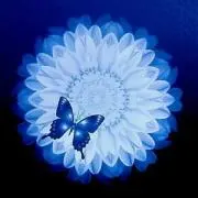 ✾  まや ✾ プロフ必読の画像
