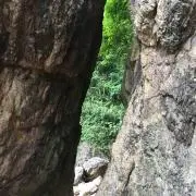 .の画像