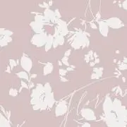 S♡Sの画像