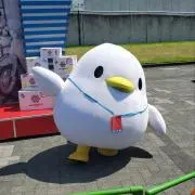 ぱちゃぽ