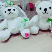 みの画像