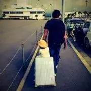 jajaumariderの画像