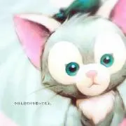 しゃちょー