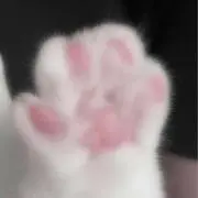るんの画像