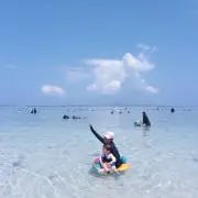 ao