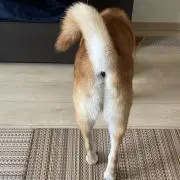にしもとの画像