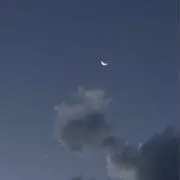 もちの画像