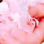 naiTsuHappy20