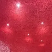 ri_ko_riの画像