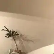 Mnhの画像