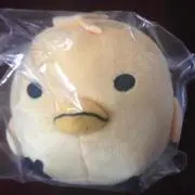 ゆっこちゃんの画像