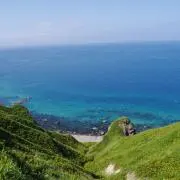 imaの画像