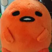 まゆたんぼの画像