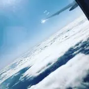 くろすけの画像