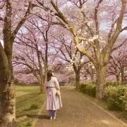 まいこ【即購入OK・匿名配送・送料0】の画像