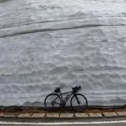 Takaの画像
