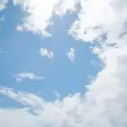 いとの画像