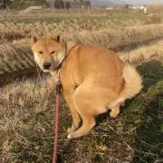 ムーさんの画像