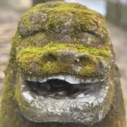 ねゆの画像
