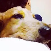 みのむし