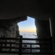 あの画像