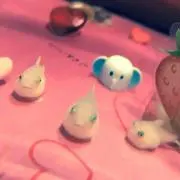 シラ
