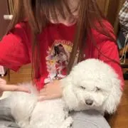 りりりの画像