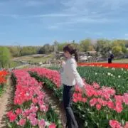 hii✿‬ˊ˗の画像