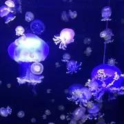 まぁ(^3^)/