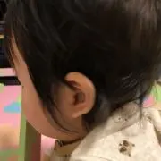 さんちゃんの画像