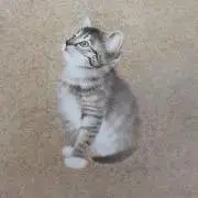 みんの画像