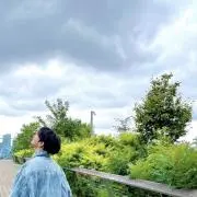 片の画像