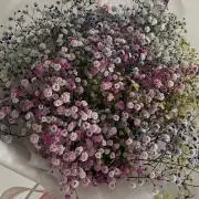 おくるみんの画像