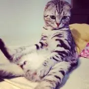 ばぁばの代理٩(ˊᗜˋ*)وの画像