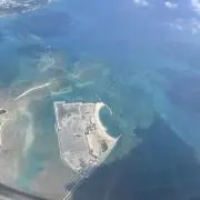 もももの画像