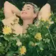 ai ★の画像