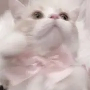まるの画像