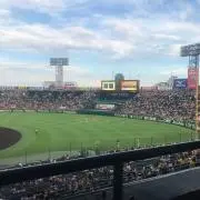 ベジたくの画像