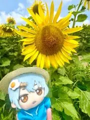 ちむの画像
