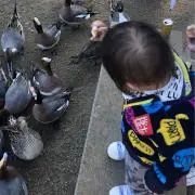 まりんこ